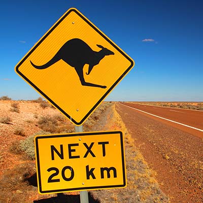 Insights Road Sign